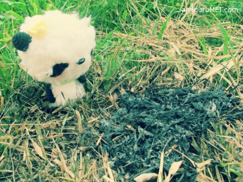 Panda amigurumi bear crochet amigurumei prince