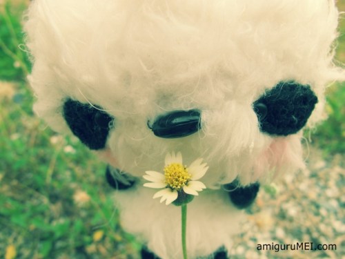 panda amigurumi bear crochet amigurumei prince