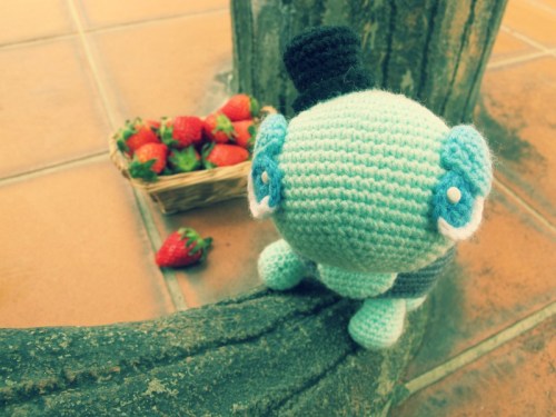 turtle amigurumi amigurumei crochet green